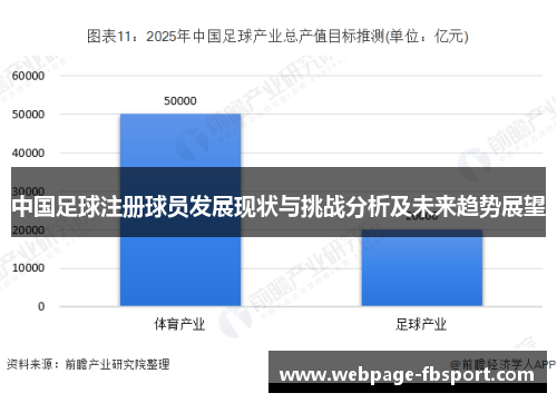 中国足球注册球员发展现状与挑战分析及未来趋势展望